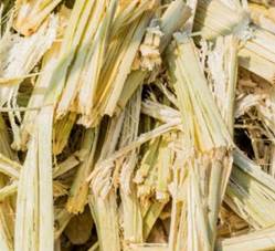 Жом сахарного тростника / Прессы для брикетирования биомассы из Китая 